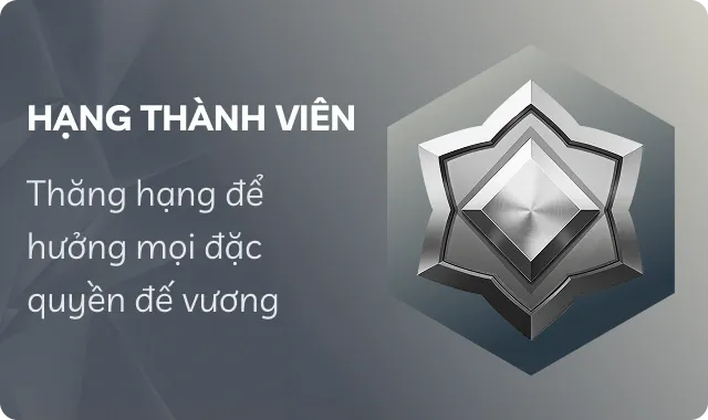 VIP Level